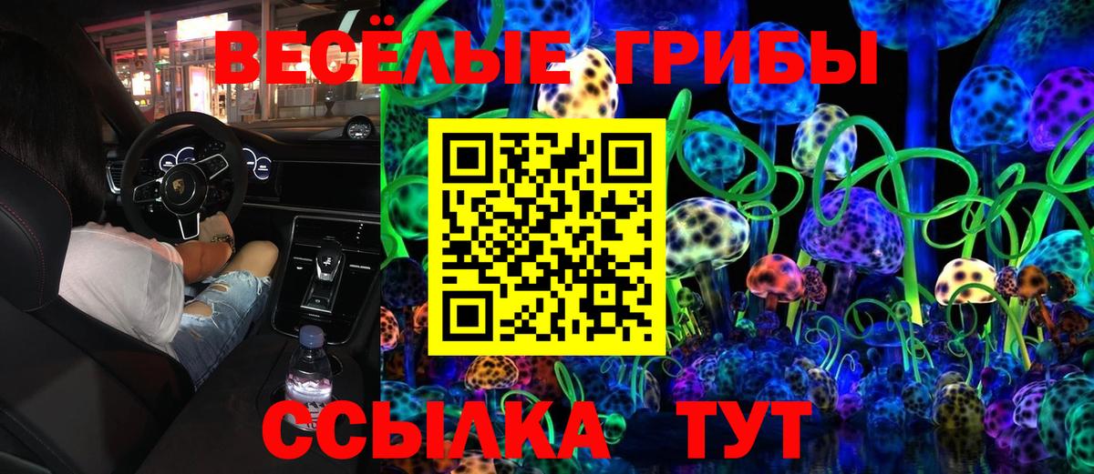 Галлюциногенные грибы GOLDEN TEACHER Ливны